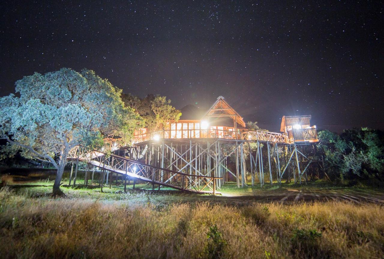 Pezulu Tree House Lodge Hoedspruit Dış mekan fotoğraf