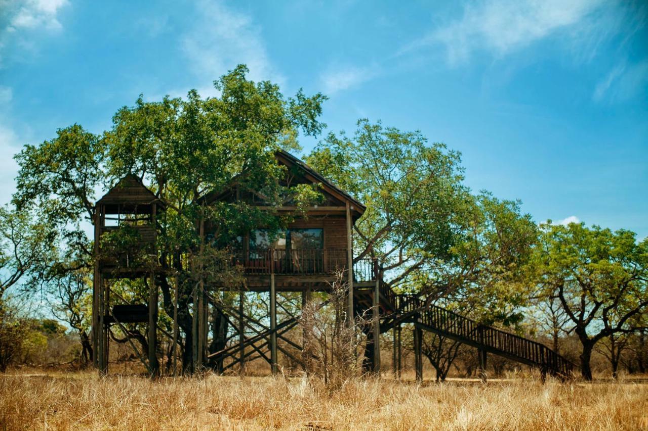 Pezulu Tree House Lodge Hoedspruit Dış mekan fotoğraf