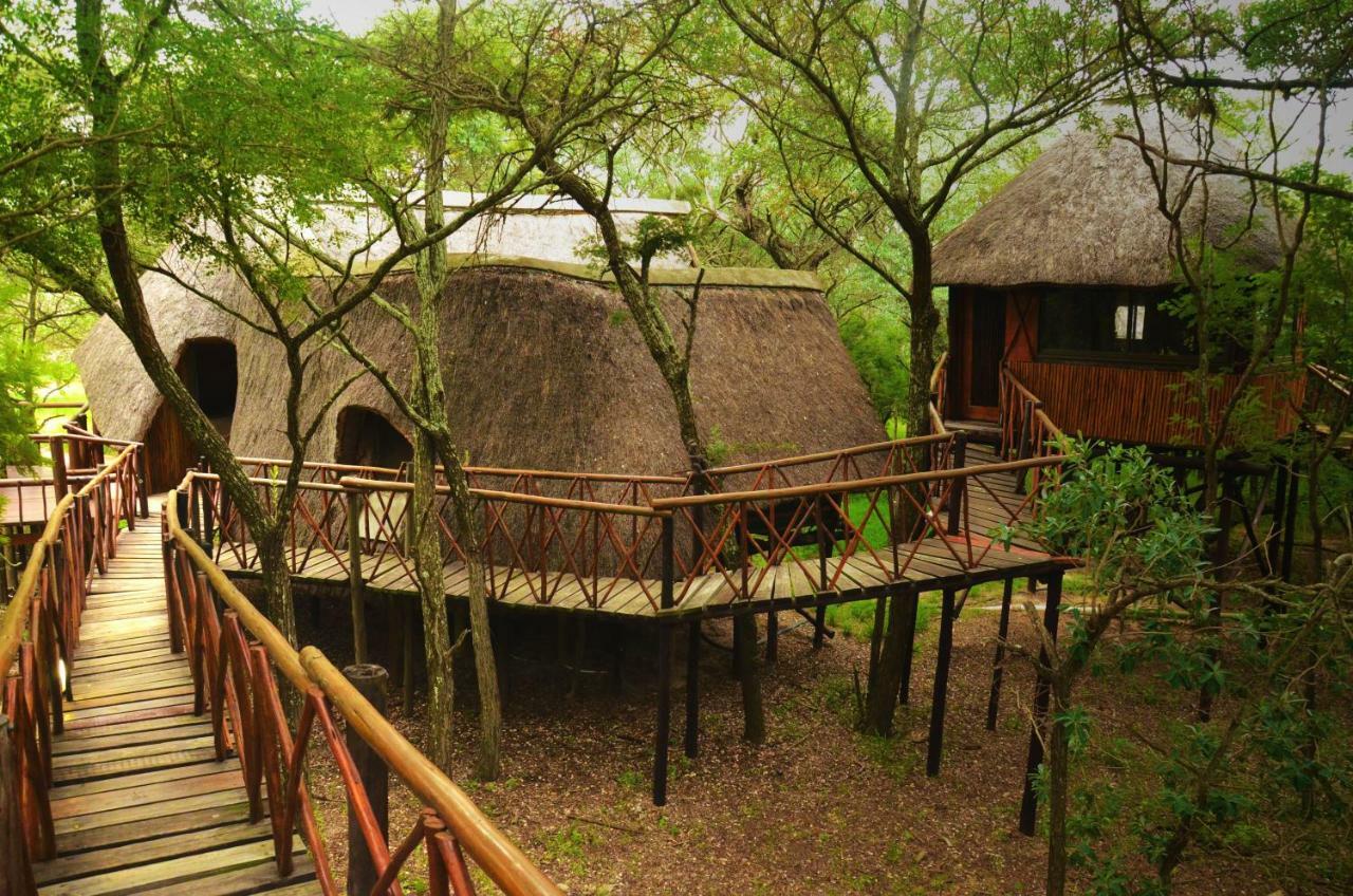 Pezulu Tree House Lodge Hoedspruit Dış mekan fotoğraf
