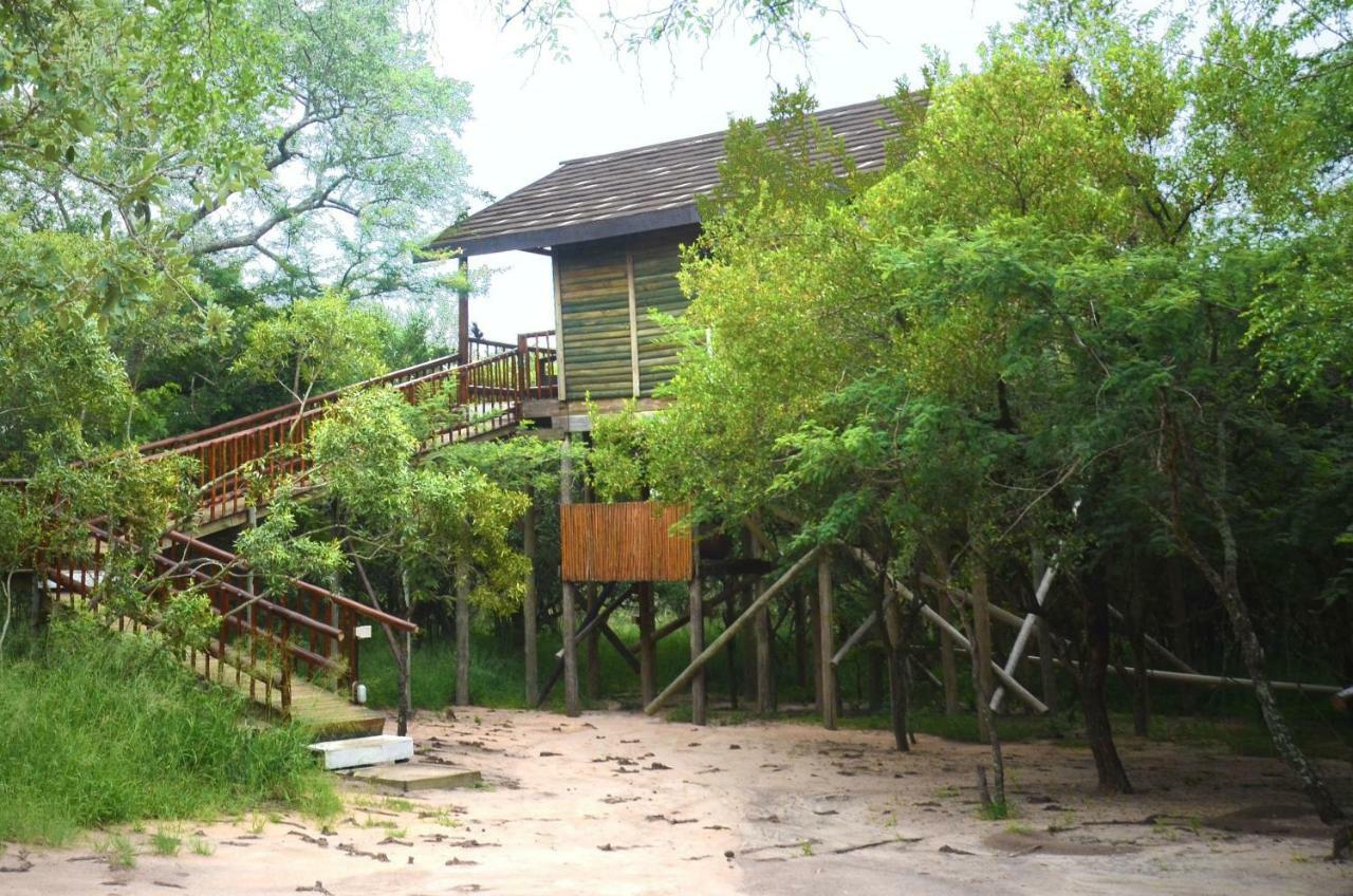 Pezulu Tree House Lodge Hoedspruit Dış mekan fotoğraf