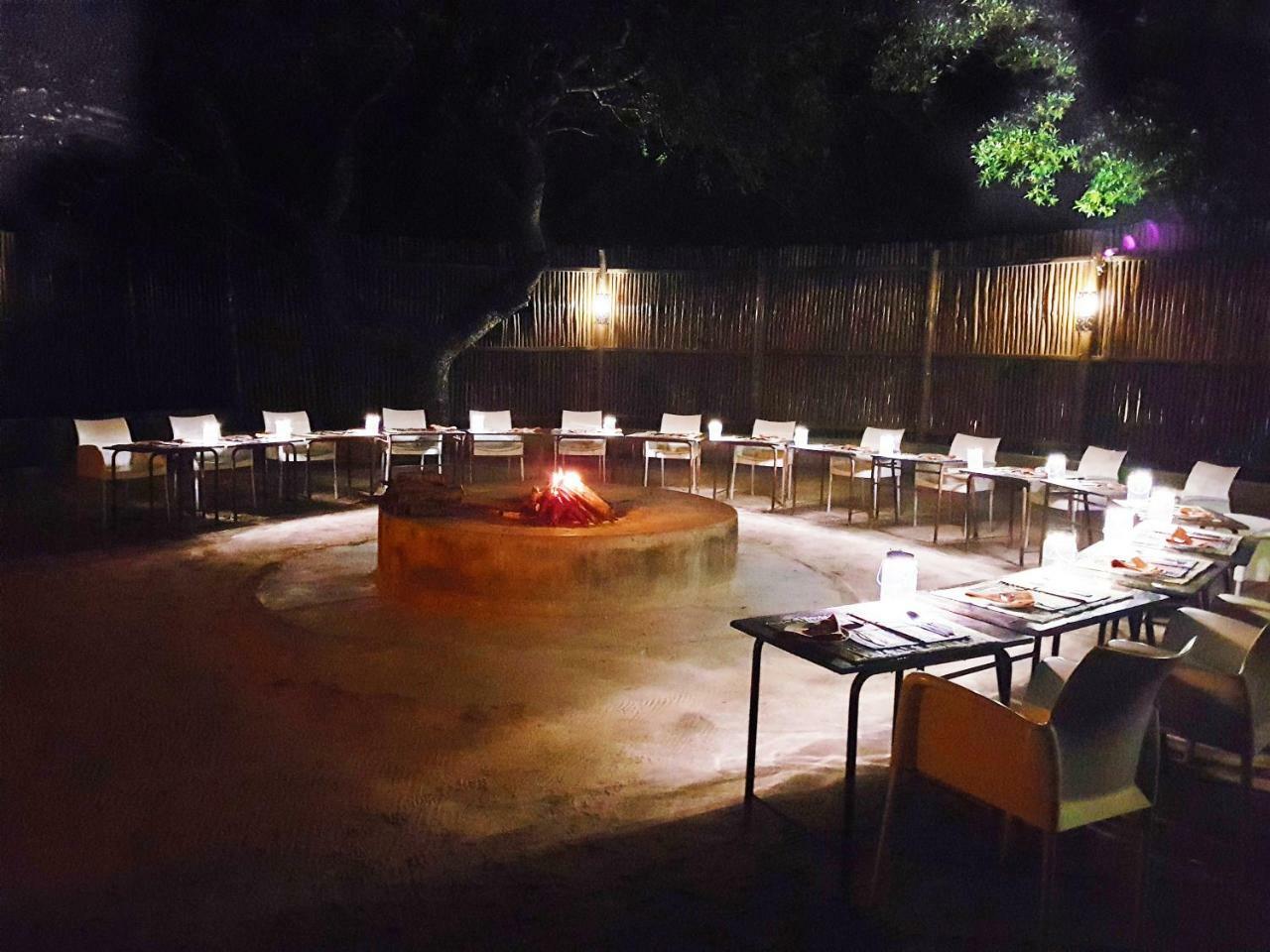 Pezulu Tree House Lodge Hoedspruit Dış mekan fotoğraf