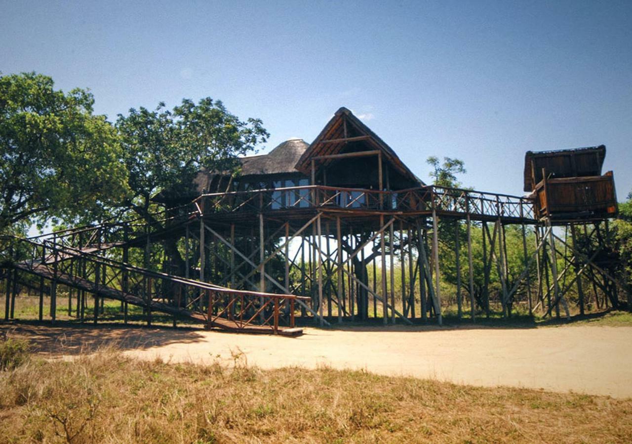 Pezulu Tree House Lodge Hoedspruit Dış mekan fotoğraf